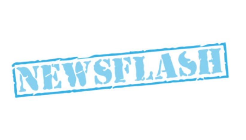 newsflash-logo-brand_847x300_acf_cropped_847x300_acf_cropped-555x322