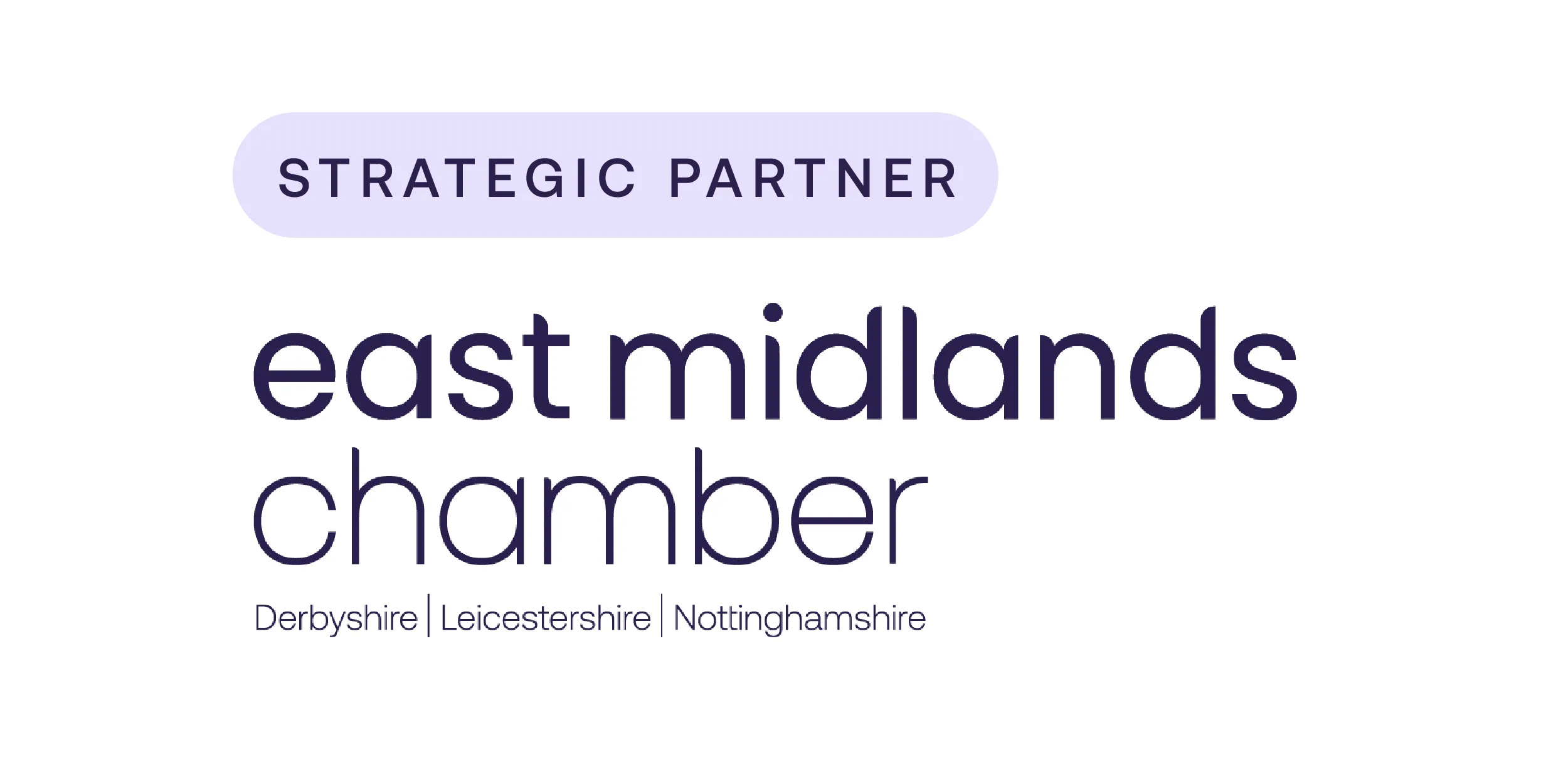 strategic-partner-white